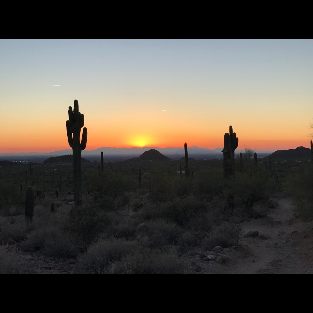 Meet your Posher, Steffani